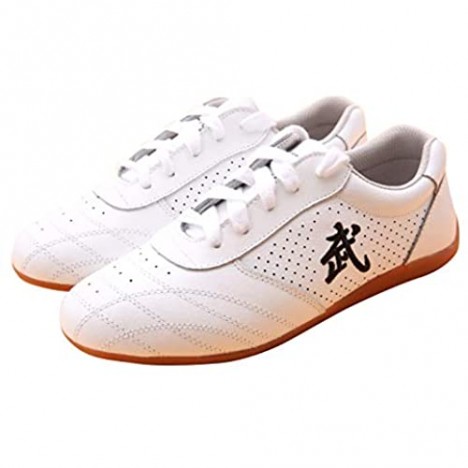 BJSFXDKJYXGS Chinese Wushu Shoes taolu Kungfu Martial Shoes Taichi Shoes for Men Women Fashion Sneakers