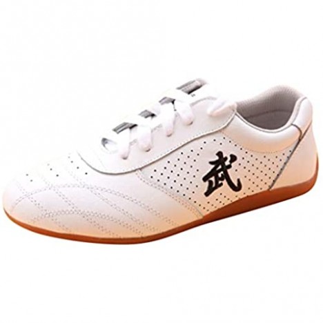 BJSFXDKJYXGS Chinese Wushu Shoes taolu Kungfu Martial Shoes Taichi Shoes for Men Women Fashion Sneakers