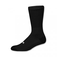 Champion Mens Double Dry Performance No-Show Socks (CH608) (X-Large White) 12-PACK