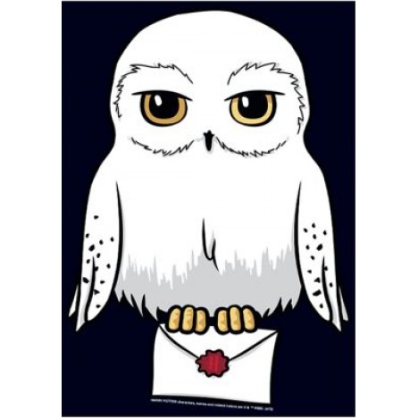 Harry Potter Anime Hedwig Mail Graphic T-Shirt