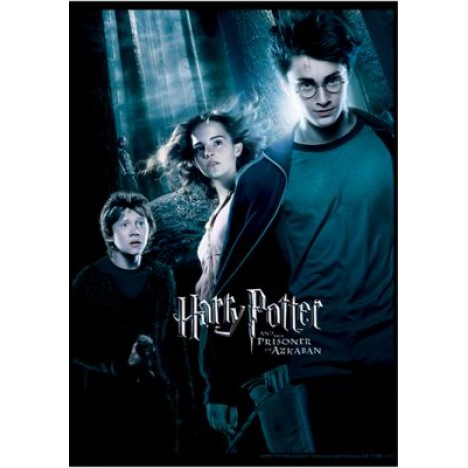 Harry Potter Azkaban Forest Poster Graphic T-Shirt
