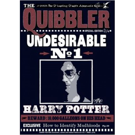 Harry Potter Harry Quibbler Graphic T-Shirt