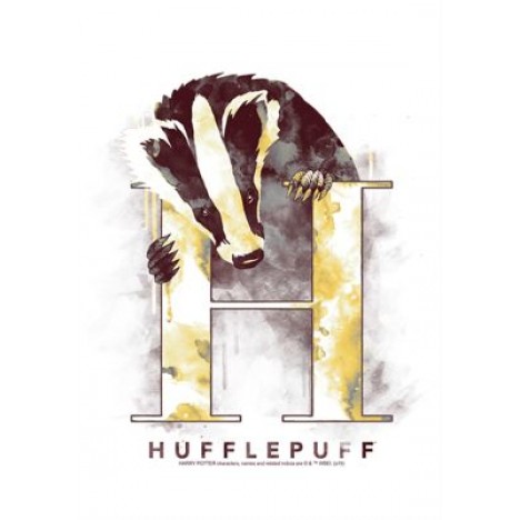 Harry Potter Hufflepuff Mystic Wash Graphic T-Shirt