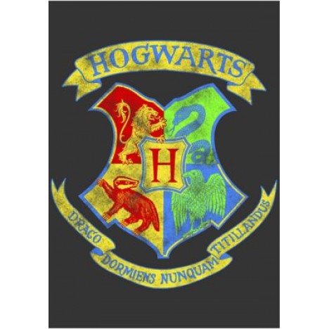 Harry Potter Neon Crest Graphic T-Shirt