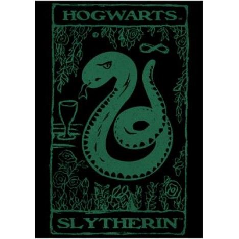 Harry Potter Slytherin Tarot Graphic T-Shirt