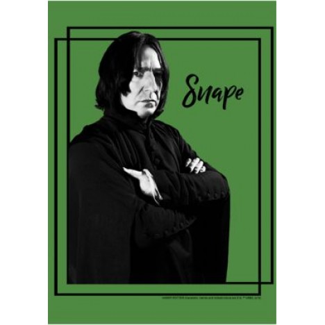 Harry Potter Snape Obviously Graphic T-Shirt