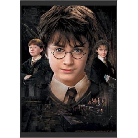 Harry Potter The Trio Graphic T-Shirt