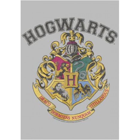 Harry Potter Vintage Logo Graphic T-Shirt