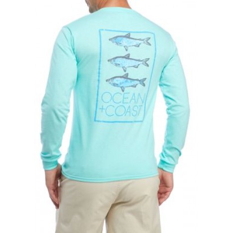 Fish Trio Graphic T-Shirt